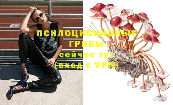 mix Новозыбков
