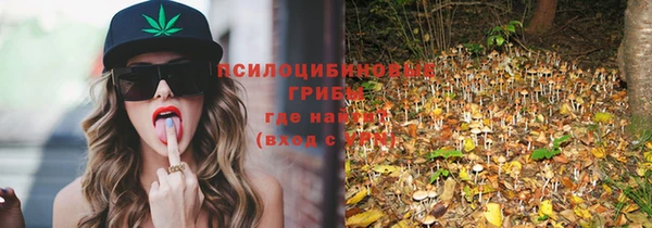 mix Новозыбков