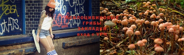 ешки Новокубанск
