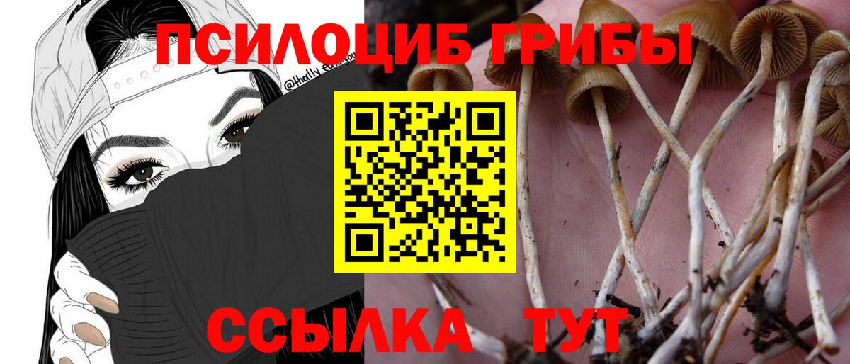 Красный Сулин  Псилоцибиновые грибы прущие грибы  Вход с VPN 