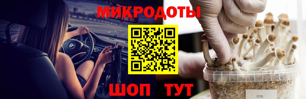Псилоцибиновые грибы MAGIC MUSHROOMS  даркнет сайт  Красный Сулин  Псилоцибиновые грибы Cubensis 