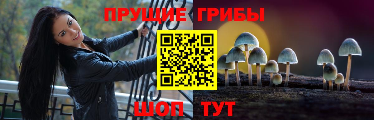Псилоцибиновые грибы прущие грибы Красный Сулин