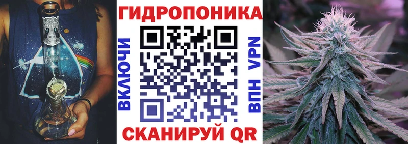 Конопля сатива  дарнет шоп  Красный Сулин 